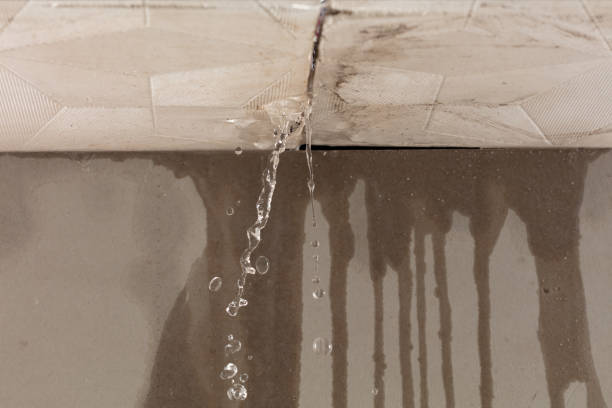 Professional Water Extraction technician working in Conklin, MI